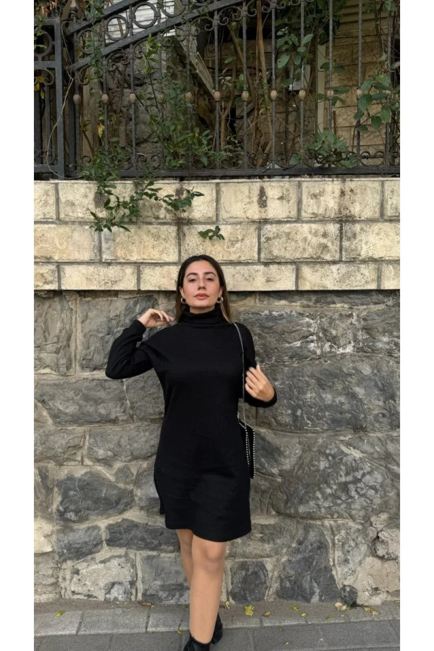 Kadın Uzun Kollu Balıkçı Yaka Kısa şardonlu Kaşkorse Elbise