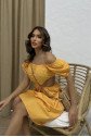 Stefanie Cut Out Elbise 2143-02