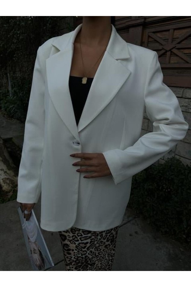 Premium Kumaş Blazer Ceket 6118